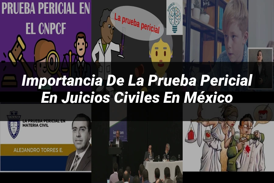 "Importancia de la prueba pericial en juicios civiles en México"