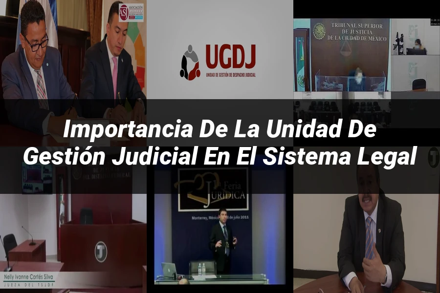 "Importancia de la unidad de gestión judicial en el sistema legal"