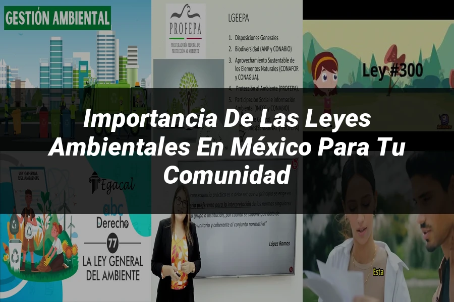 "Importancia de las Leyes Ambientales en México para Tu Comunidad"