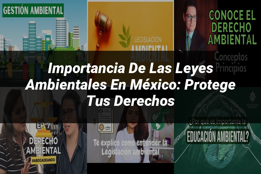 "Importancia de las Leyes Ambientales en México: Protege tus Derechos"