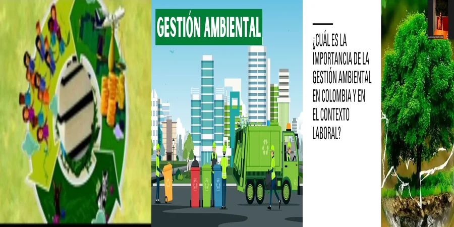 "Importancia de las Leyes Ambientales en México: Protege tus Derechos"