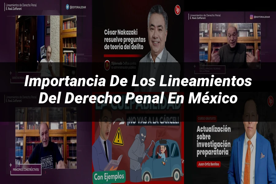 "Importancia de los Lineamientos del Derecho Penal en México"