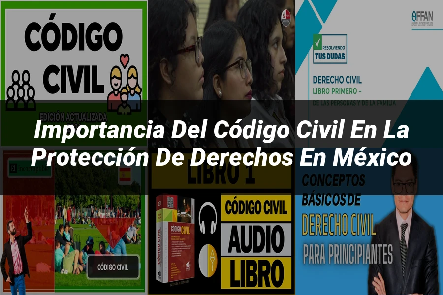 "Importancia del Código Civil en la Protección de Derechos en México"