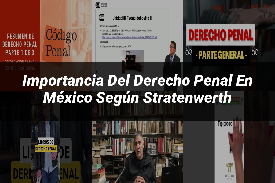 "Importancia del Derecho Penal en México según Stratenwerth"