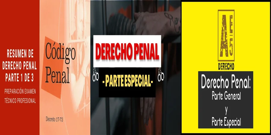 "Importancia del Derecho Penal en México según Stratenwerth"