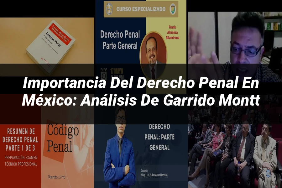 "Importancia del Derecho Penal en México: Análisis de Garrido Montt"