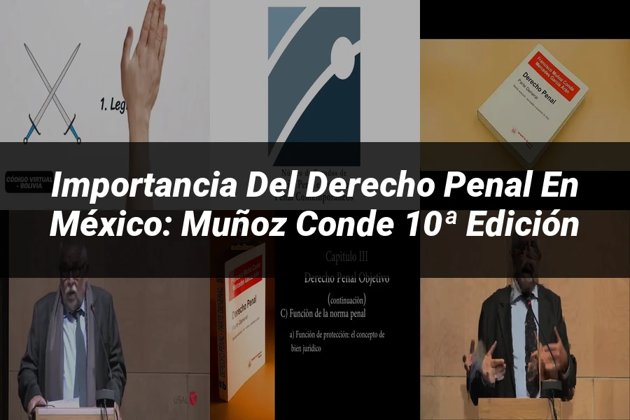 "Importancia del Derecho Penal en México: Muñoz Conde 10ª Edición"