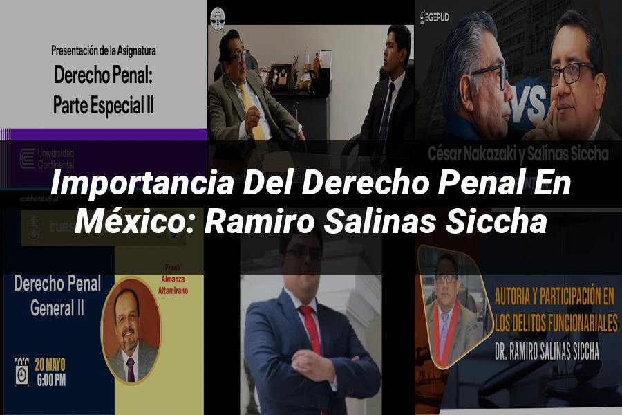 "Importancia del Derecho Penal en México: Ramiro Salinas Siccha"