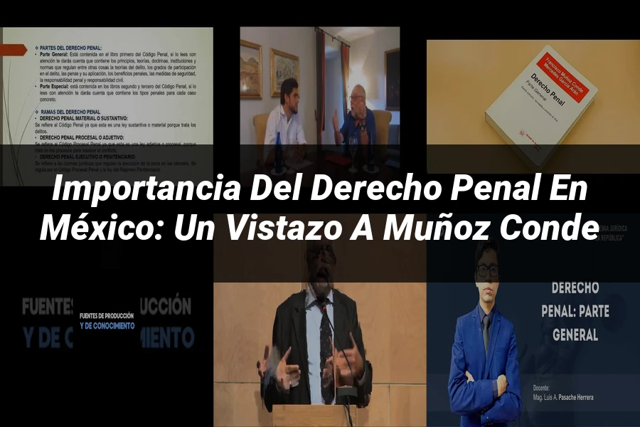 "Importancia del Derecho Penal en México: Un Vistazo a Muñoz Conde"
