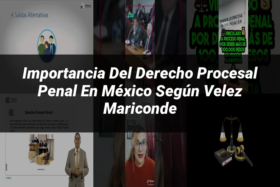 "Importancia del Derecho Procesal Penal en México según Velez Mariconde"