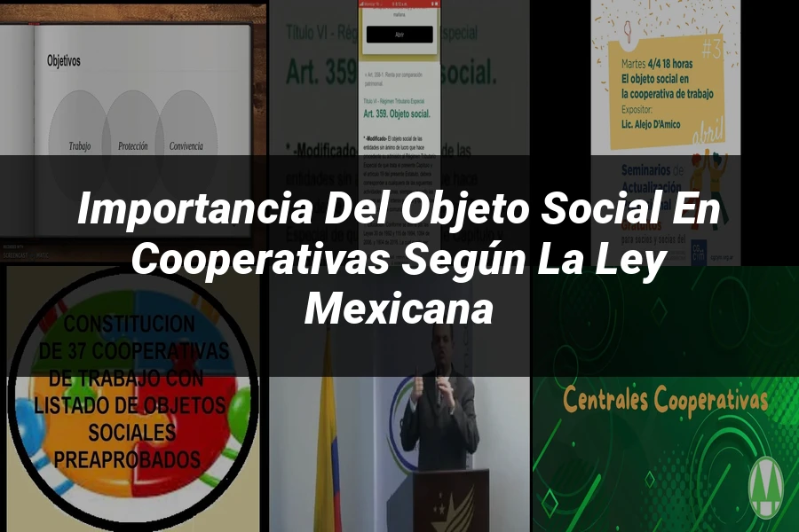 "Importancia del Objeto Social en Cooperativas según la Ley Mexicana"