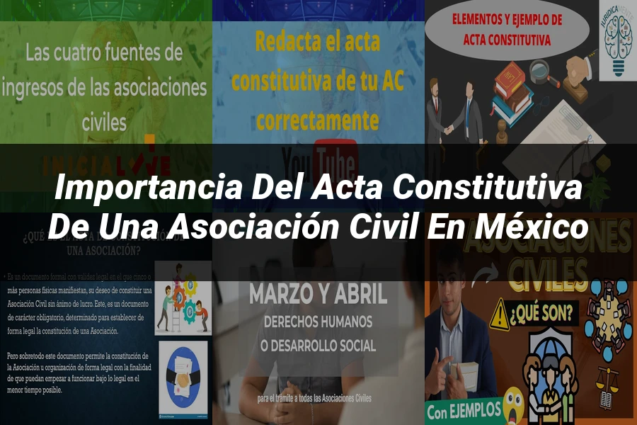 "Importancia del acta constitutiva de una asociación civil en México"