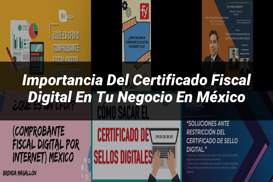 "Importancia del certificado fiscal digital en tu negocio en México"