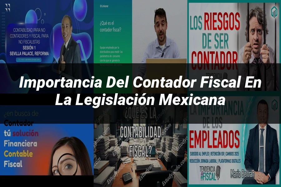 "Importancia del contador fiscal en la legislación mexicana"
