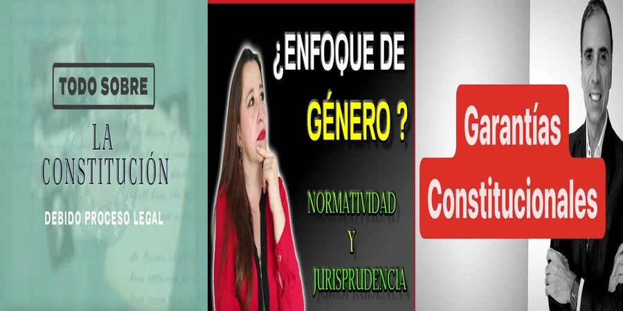 "Importancia del debido proceso en juicios en México"