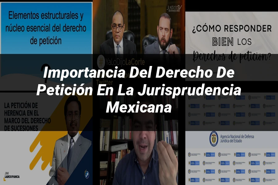"Importancia del derecho de petición en la jurisprudencia mexicana"