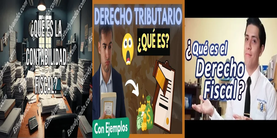 "Importancia del derecho fiscal en la legislación mexicana"