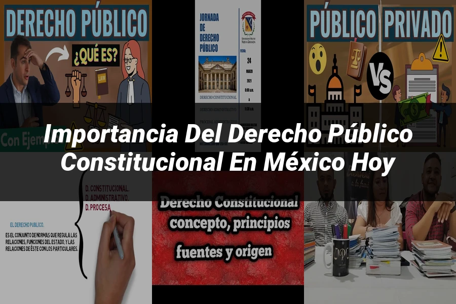 "Importancia del derecho público constitucional en México hoy"