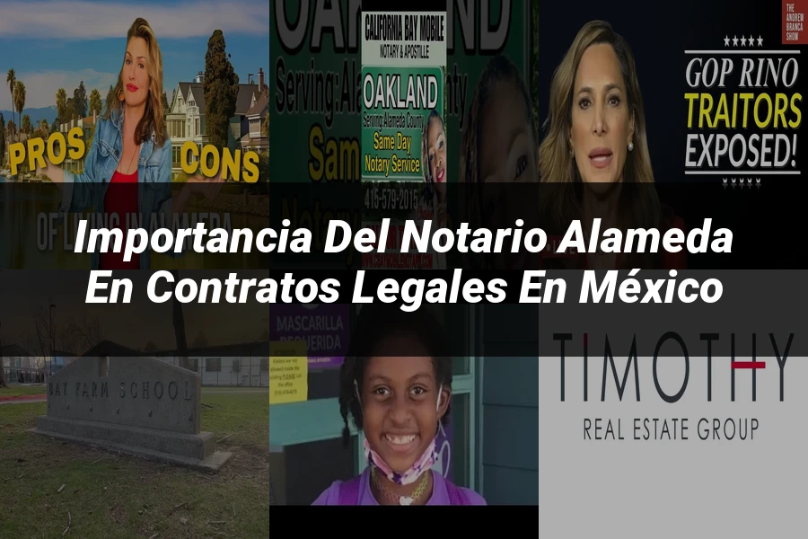 "Importancia del notario alameda en contratos legales en México"