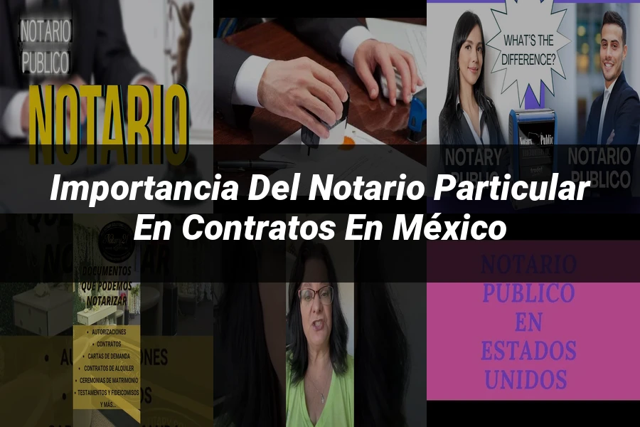 "Importancia del notario particular en contratos en México"