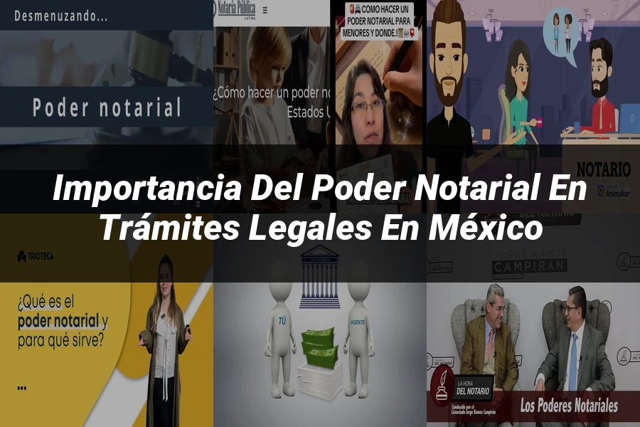 "Importancia del poder notarial en trámites legales en México"