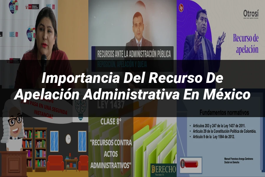"Importancia del recurso de apelación administrativa en México"