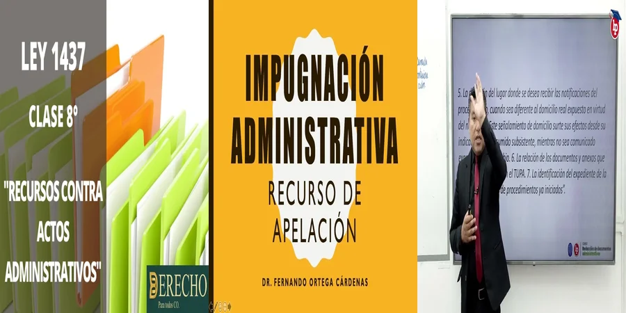 "Importancia del recurso de apelación administrativa en México"