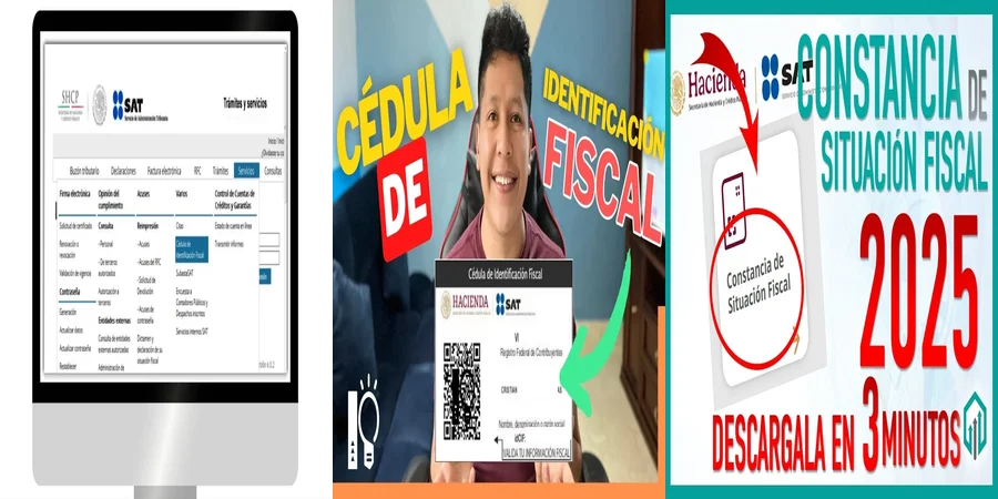 "Importancia del registro de identidad fiscal en México"