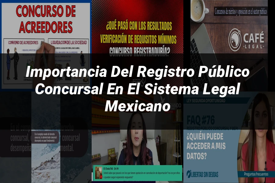 "Importancia del registro público concursal en el sistema legal mexicano"
