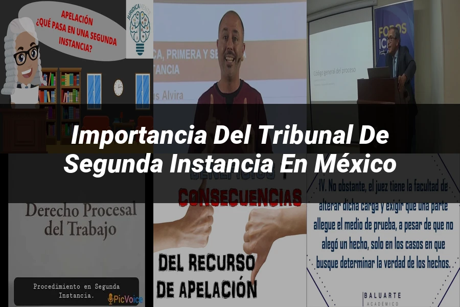 "Importancia del tribunal de segunda instancia en México"