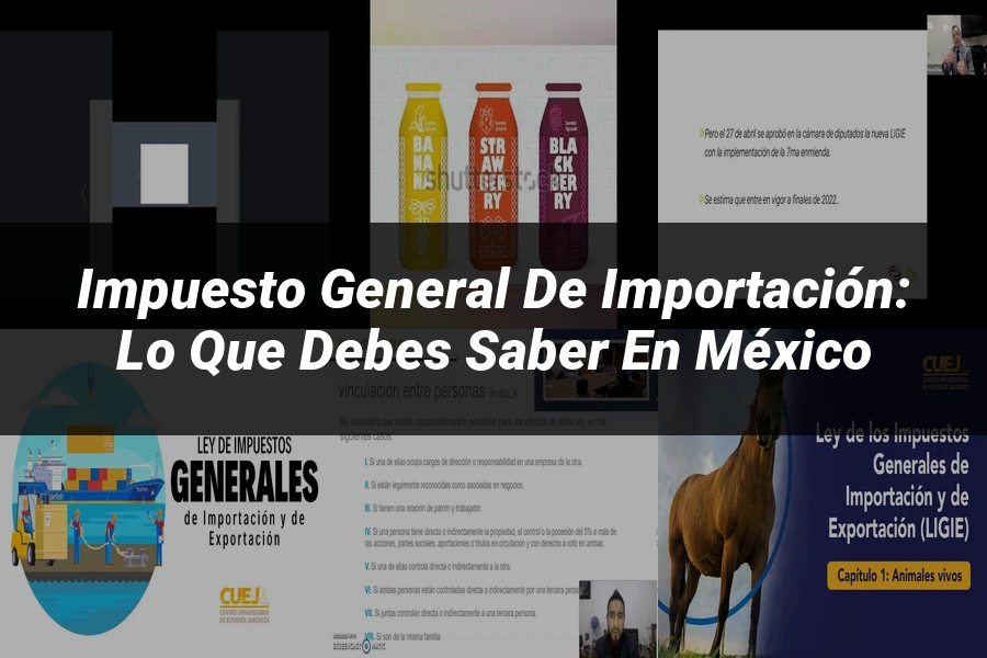 "Impuesto General de Importación: Lo Que Debes Saber en México"