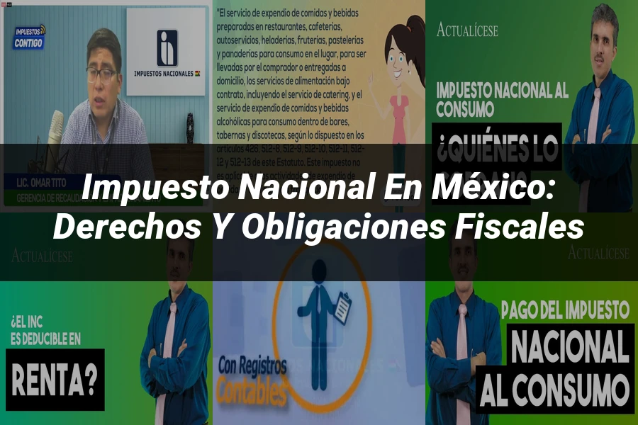 "Impuesto nacional en México: Derechos y obligaciones fiscales"