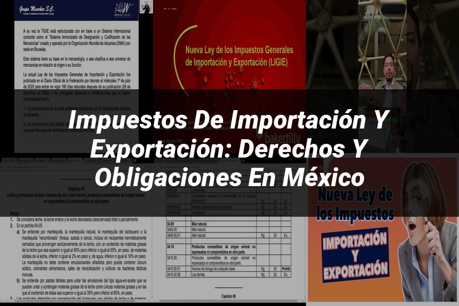 "Impuestos de Importación y Exportación: Derechos y Obligaciones en México"