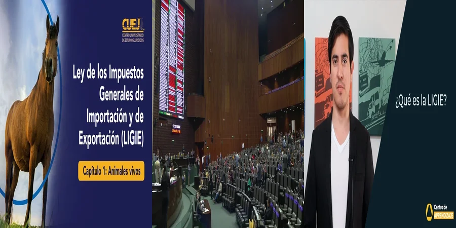 "Impuestos de importación y exportación: lo que debes saber en México"