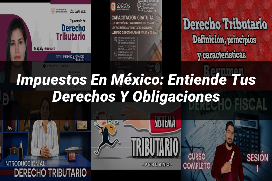 "Impuestos en México: Entiende tus Derechos y Obligaciones"