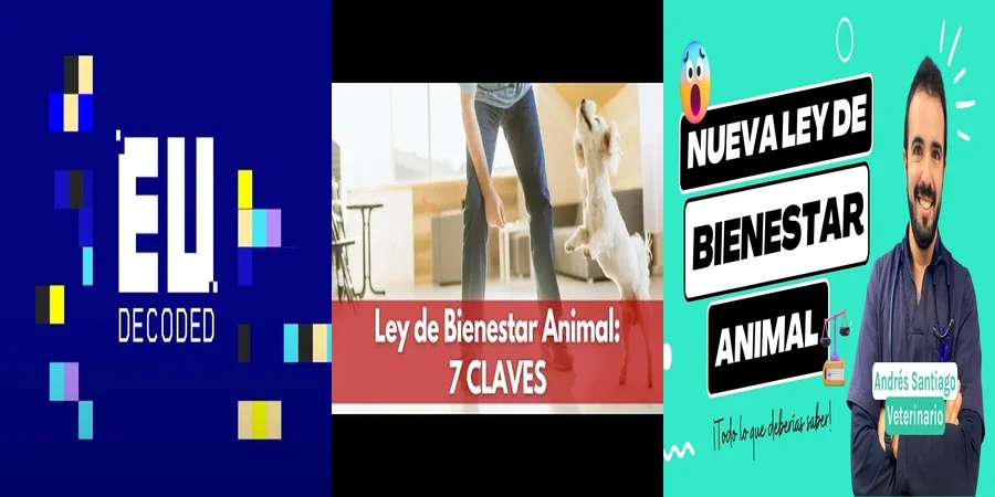 "Impulso a los Derechos de los Animales en México: ¿Qué Cambia?"