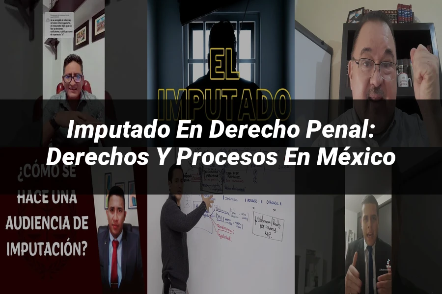 "Imputado en derecho penal: derechos y procesos en México"