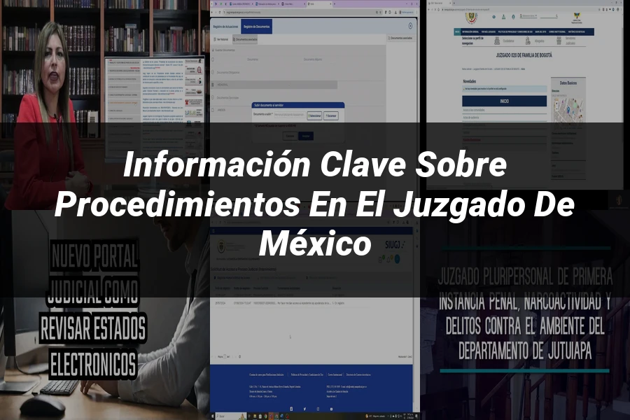 "Información Clave sobre Procedimientos en el Juzgado de México"
