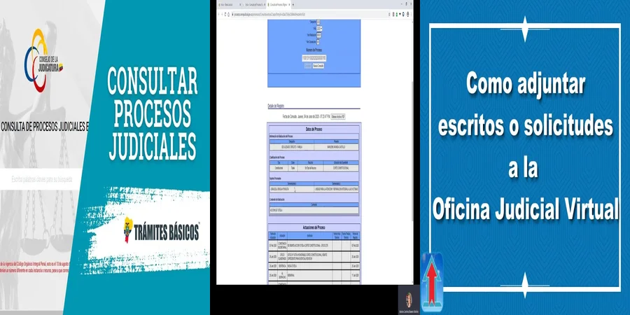 "Información Clave sobre Procedimientos en el Juzgado de México"