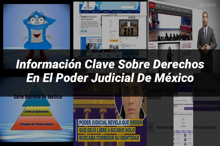 "Información clave sobre derechos en el poder judicial de México"
