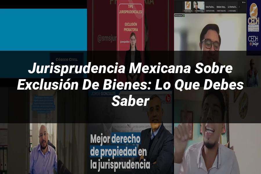 "Jurisprudencia Mexicana sobre Exclusión de Bienes: Lo Que Debes Saber"