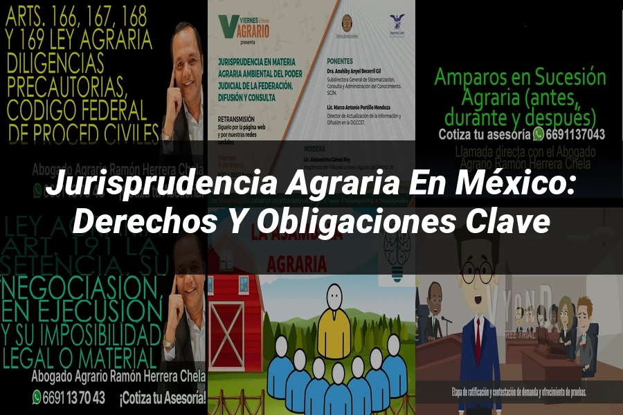 "Jurisprudencia agraria en México: derechos y obligaciones clave"