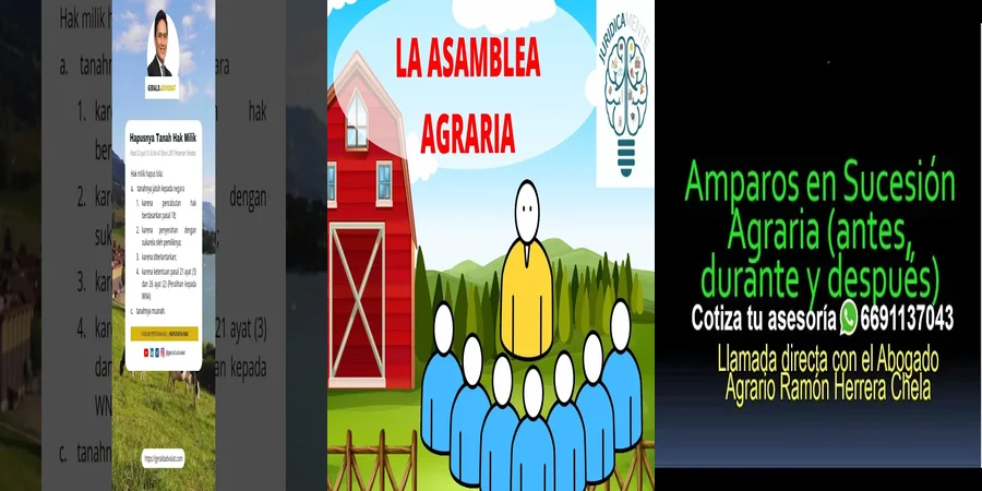 "Jurisprudencia agraria en México: derechos y obligaciones clave"
