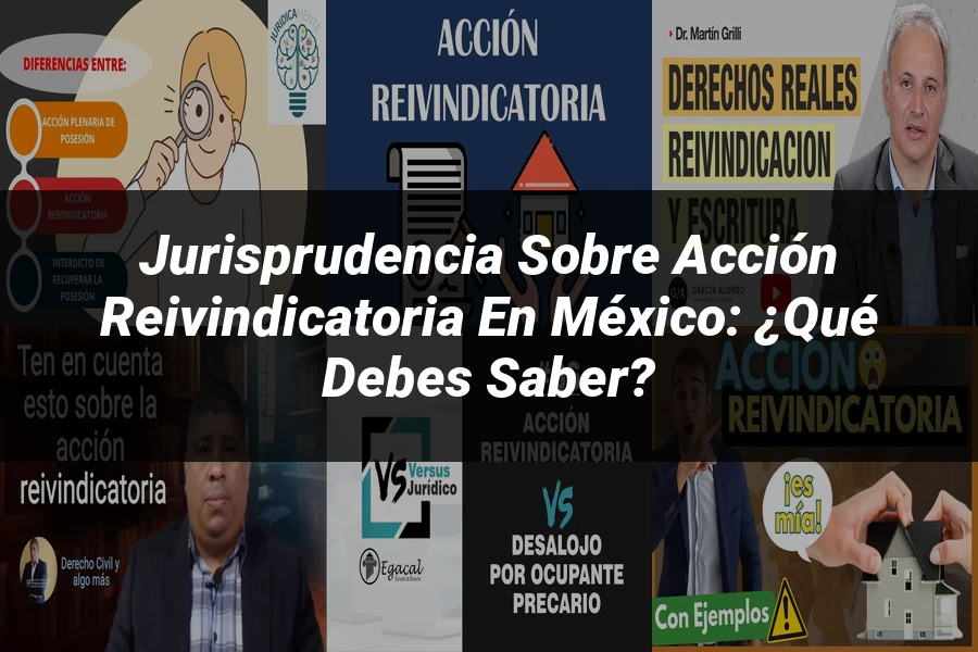 "Jurisprudencia sobre acción reivindicatoria en México: ¿Qué debes saber?"