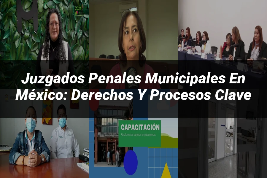 "Juzgados Penales Municipales en México: Derechos y Procesos Clave"