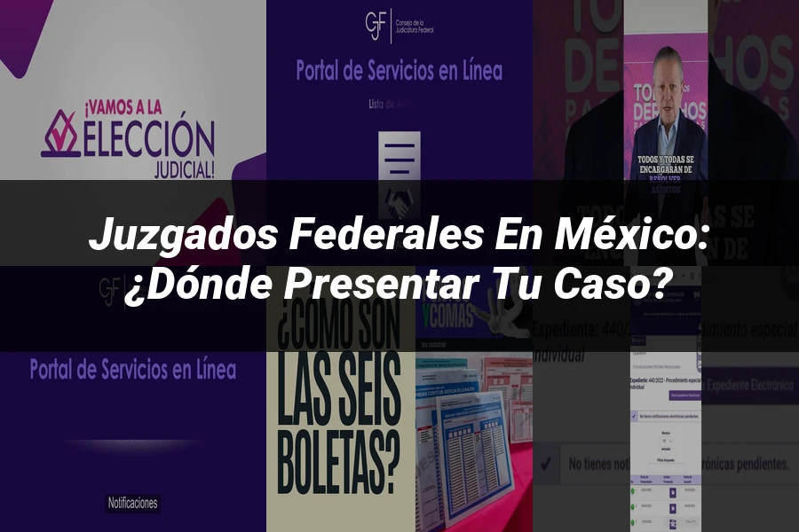 "Juzgados federales en México: ¿Dónde presentar tu caso?"