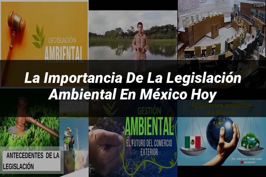 "La importancia de la legislación ambiental en México hoy"