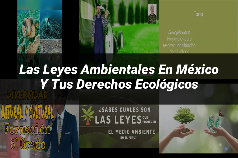 "Las Leyes Ambientales en México y tus Derechos Ecológicos"
