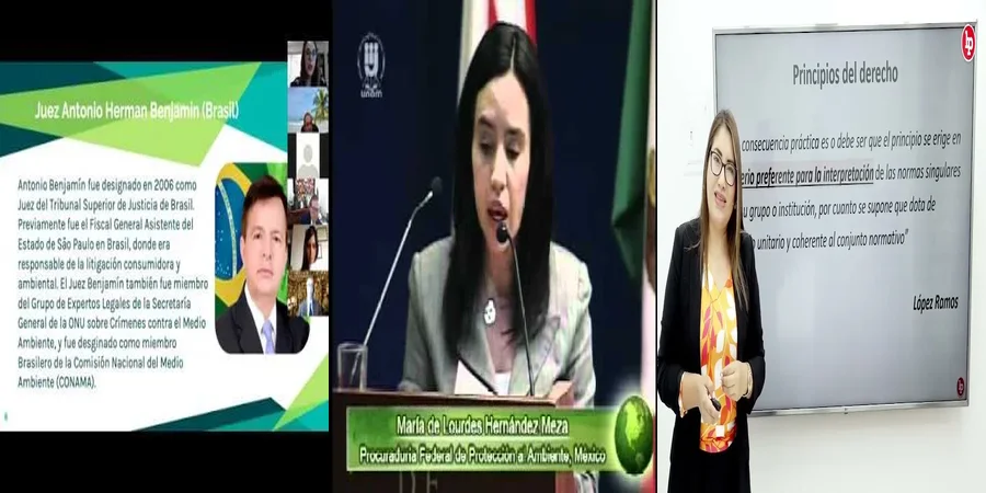 "Las Leyes Ambientales en México: Derechos y Obligaciones Clave"