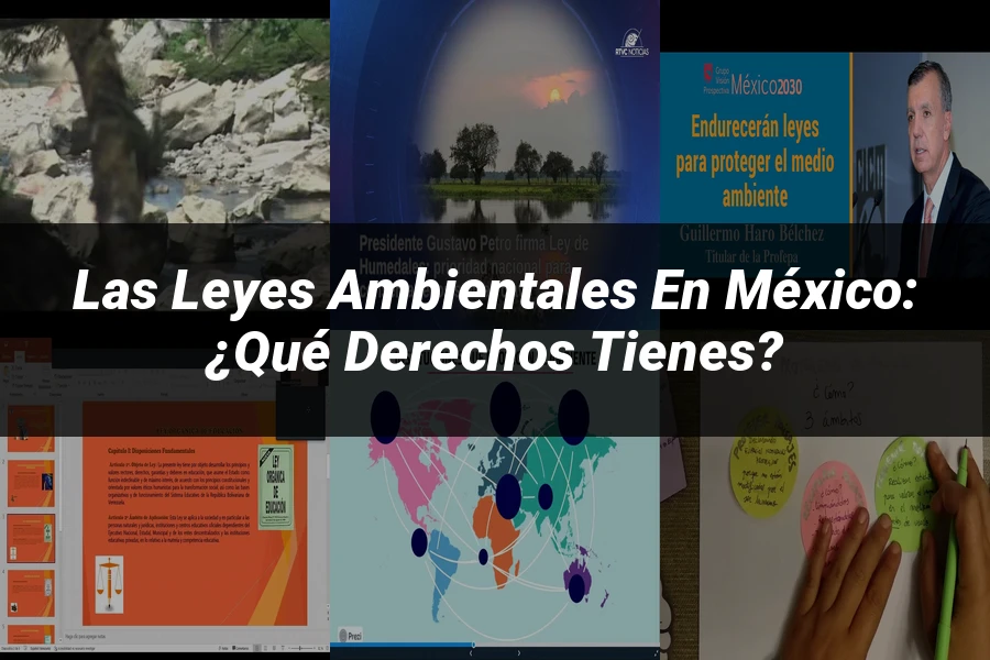 "Las Leyes Ambientales en México: ¿Qué Derechos Tienes?"